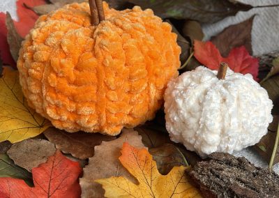 Festi Fronsac Coeurs De Coton Citrouilles